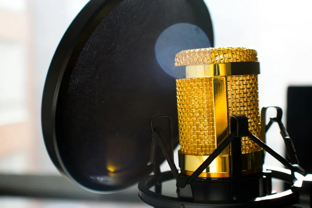 Tutto sul voice-over